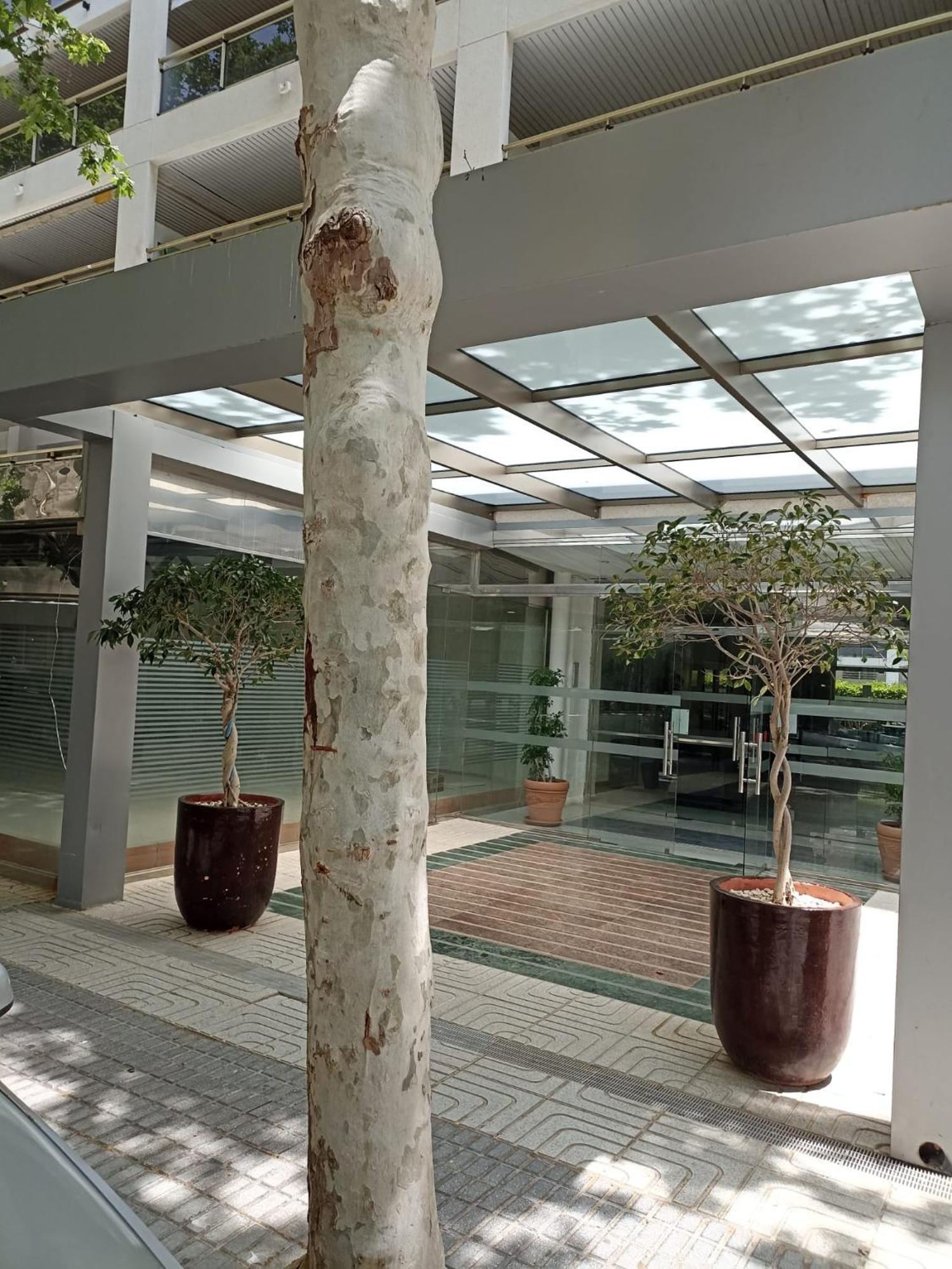 萨洛Michelangelo公寓 外观 照片